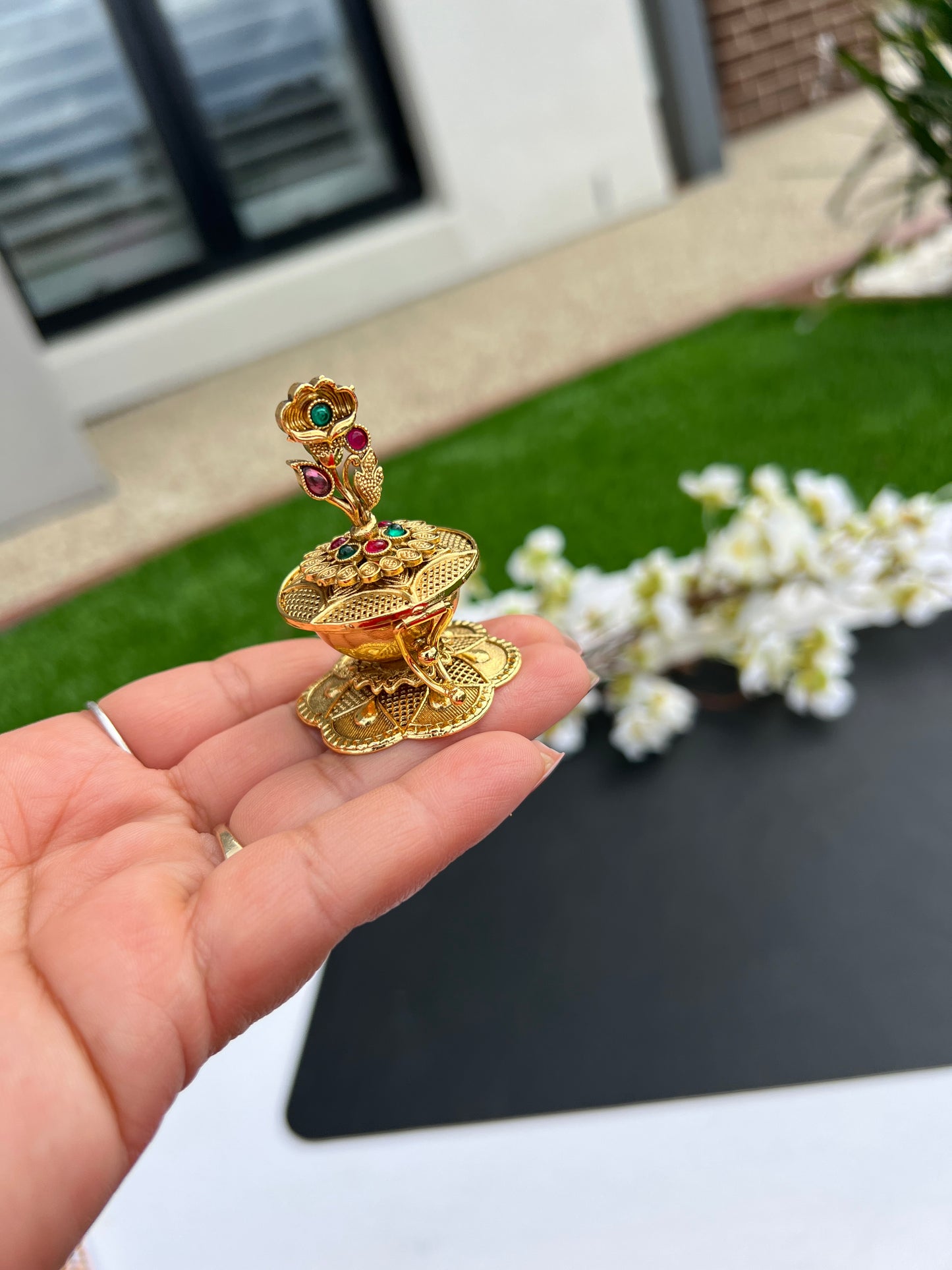 Avni aindoor dani