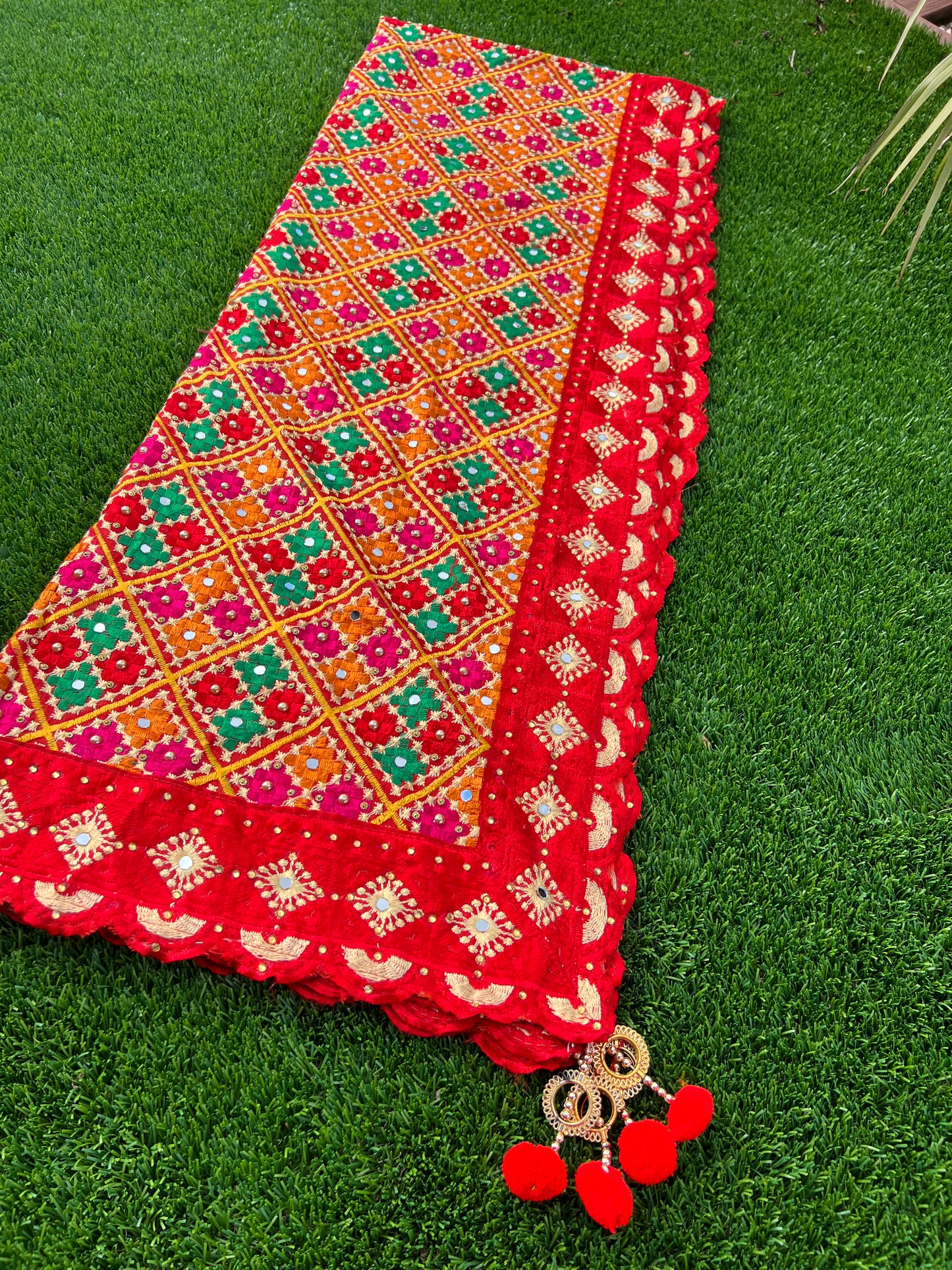 Nabhya embroidered dupatta