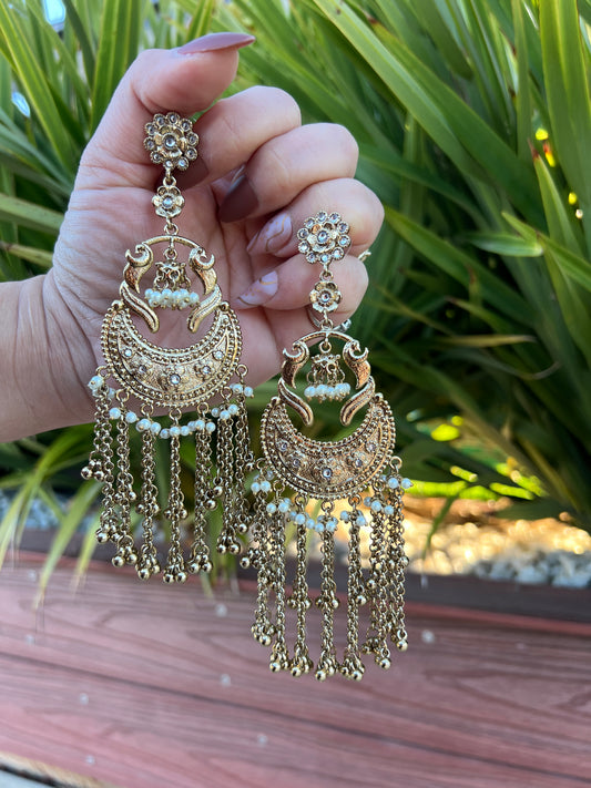 Roohani long earrings