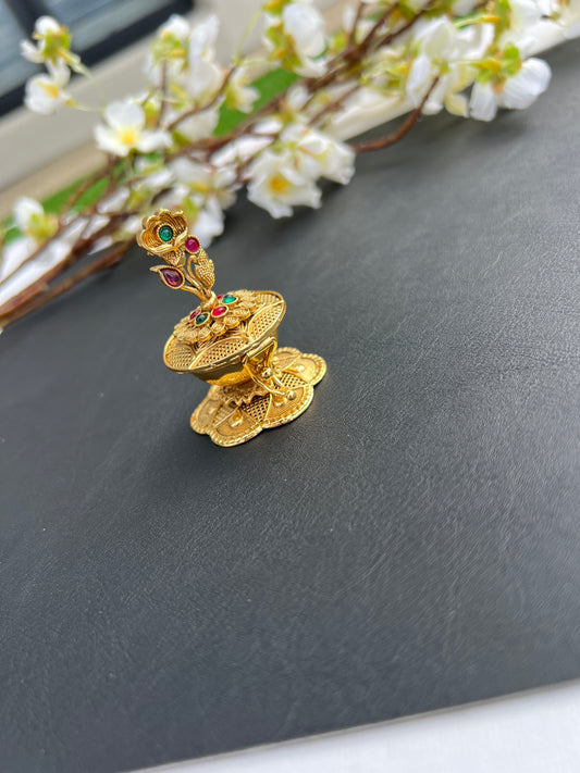 Avni aindoor dani