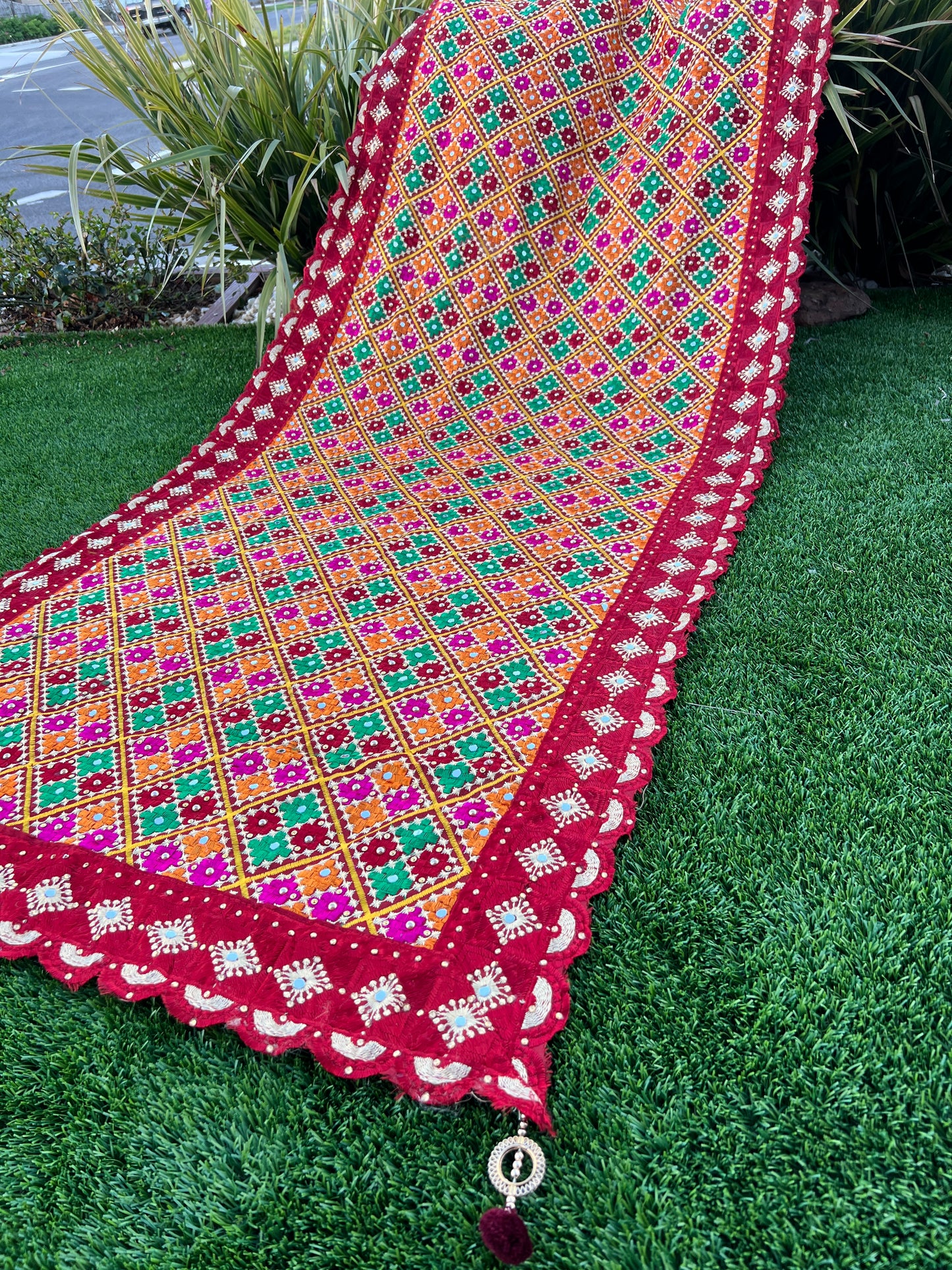 Nabhya embroidered dupatta