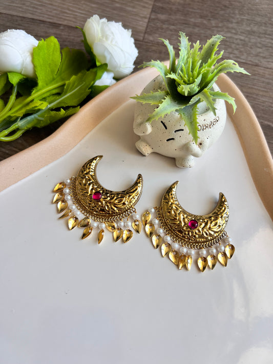 Rubaab hair clips