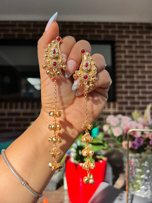 Zoon kashmiri earrings