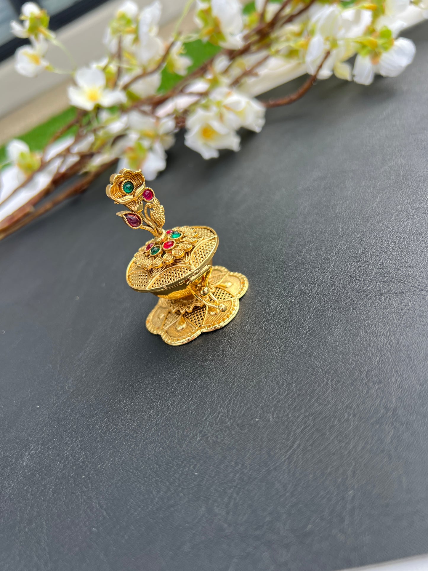 Avni aindoor dani
