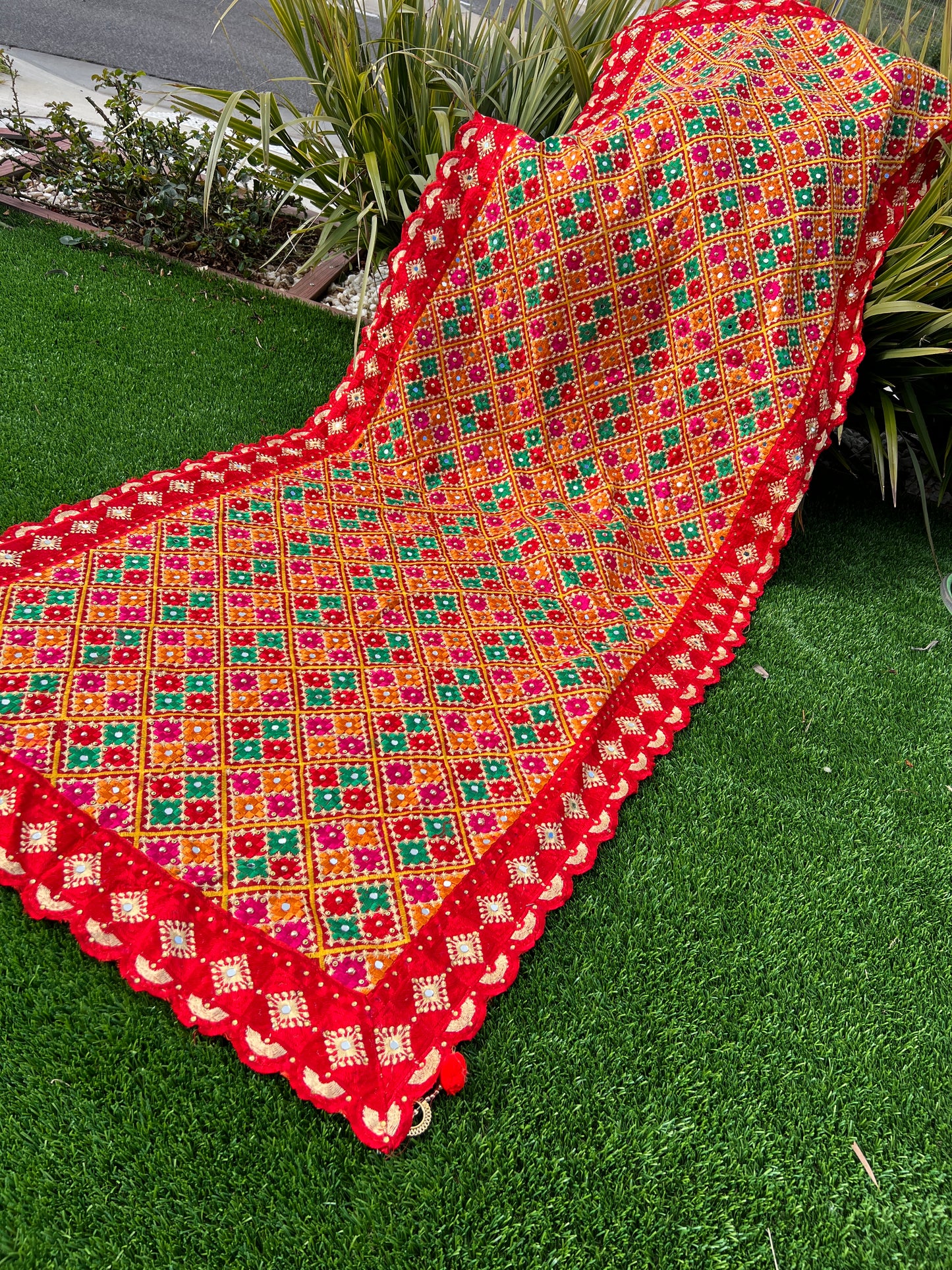Nabhya embroidered dupatta
