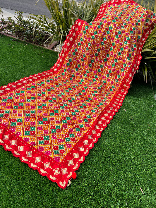 Nabhya embroidered dupatta