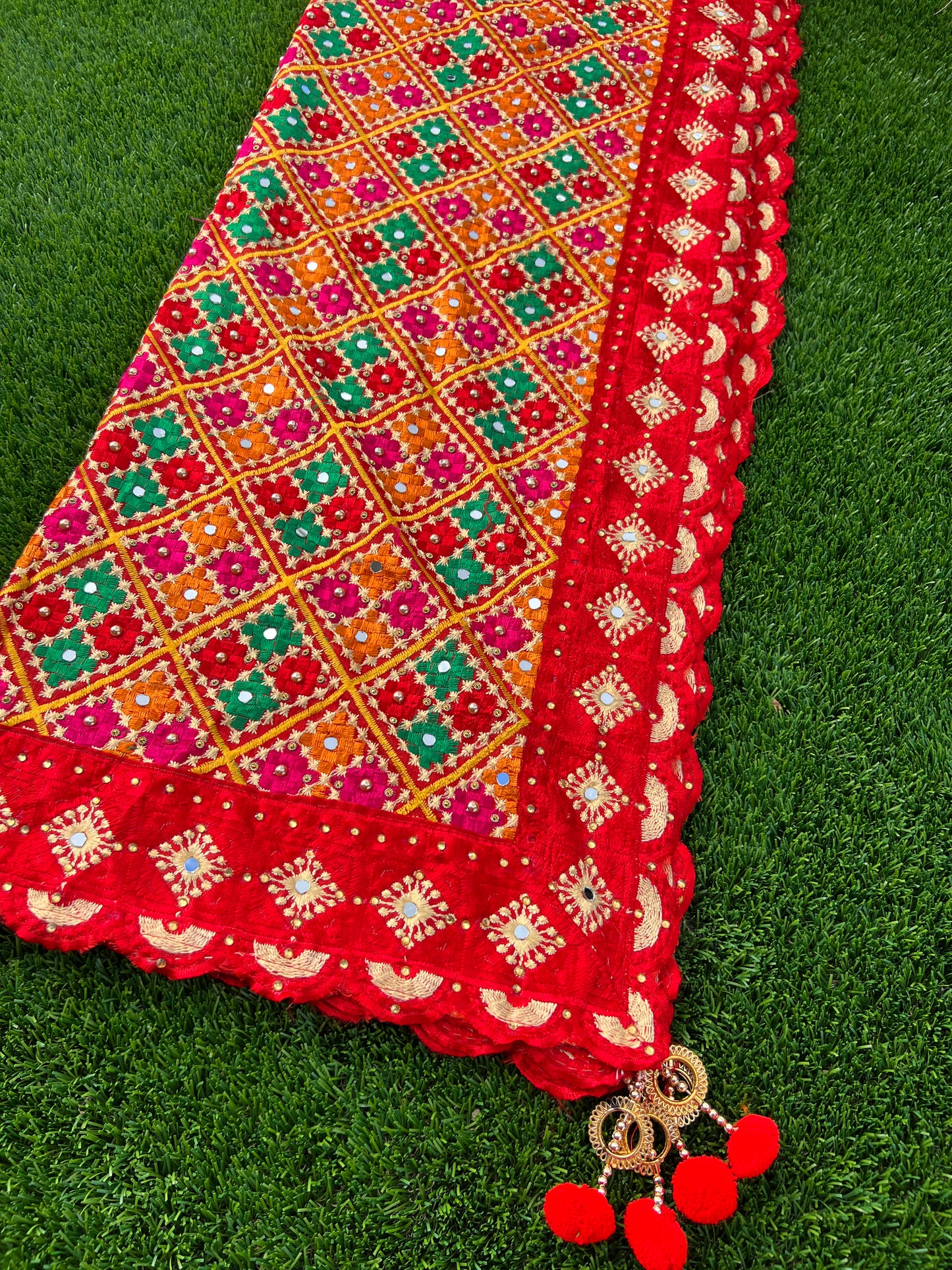 Nabhya embroidered dupatta
