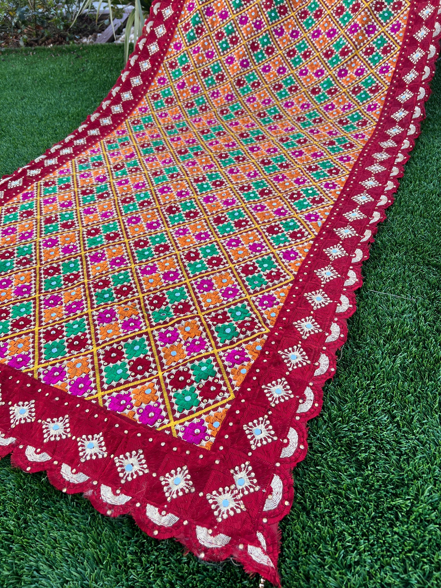 Nabhya embroidered dupatta