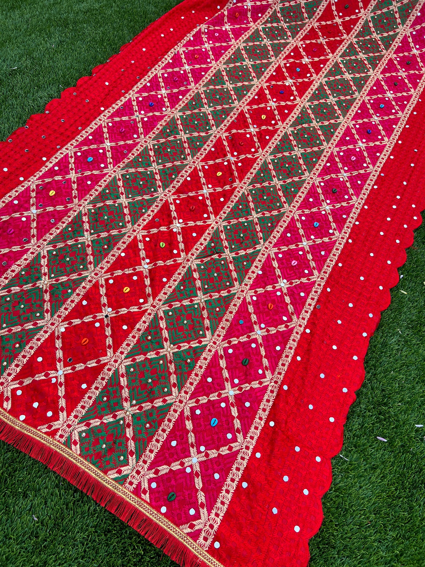 Reejh embroidered Punjabi Phulkari scarf/shawl