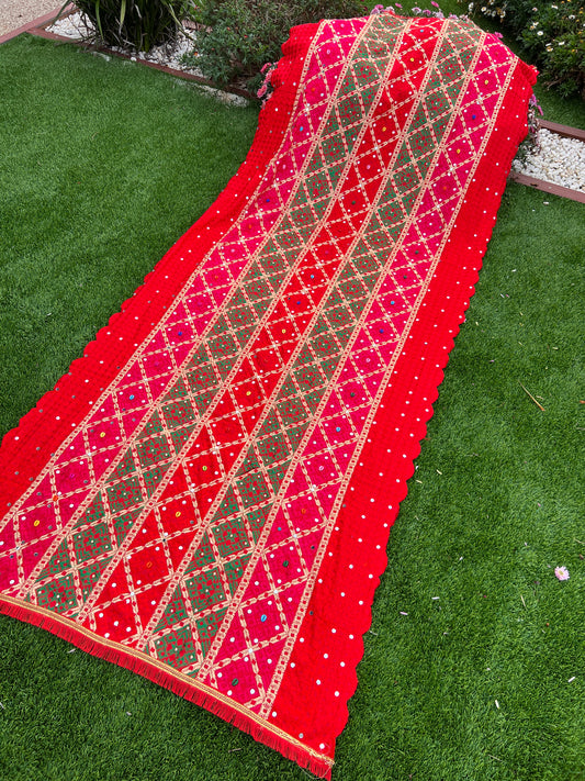 Reejh embroidered Punjabi Phulkari scarf/shawl